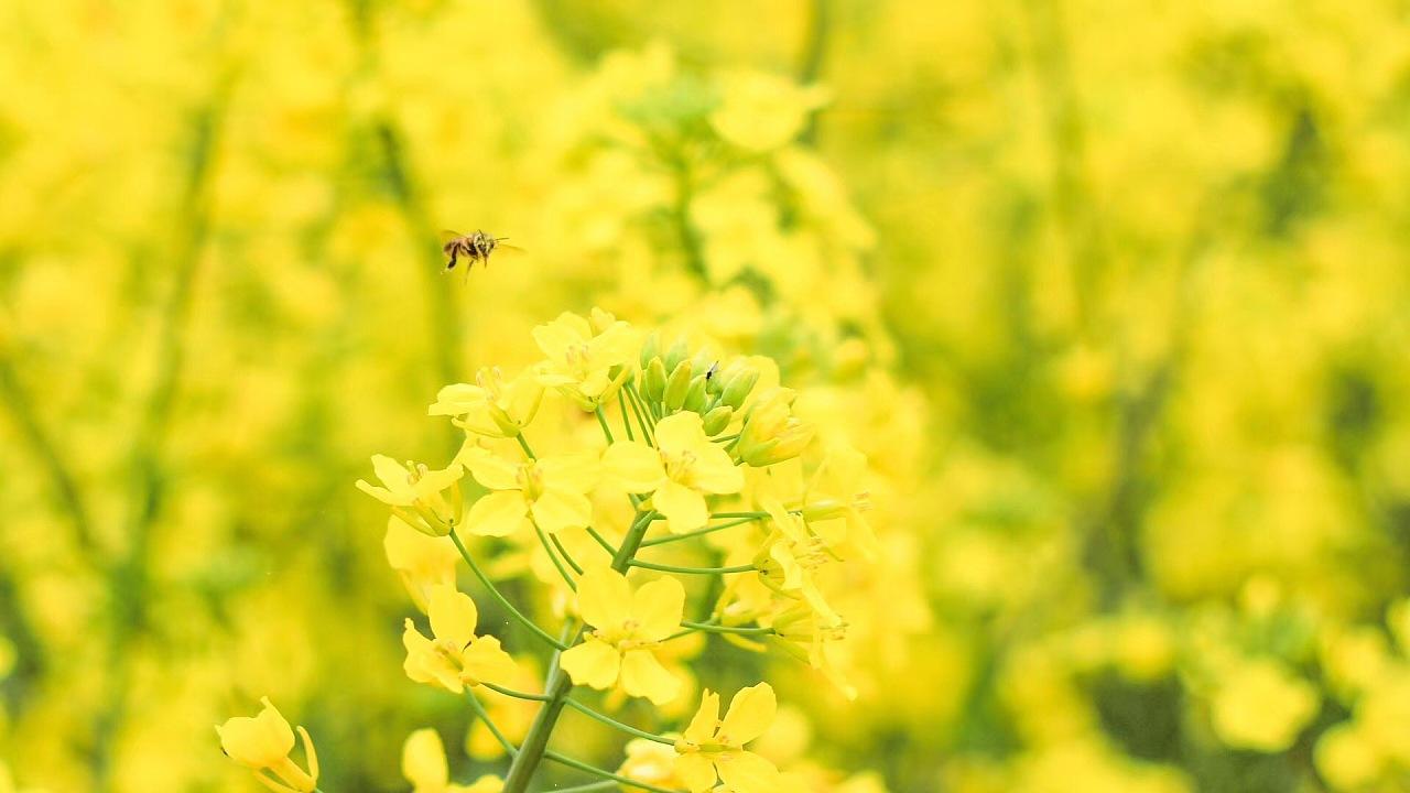 高能投顾是正规公司吗？亏损几十万血泪教训!已维权退款！